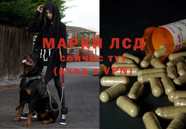 прущая мука Богданович